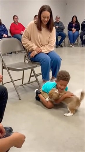 In this place… Dogs choose humans #dogadopt #adoptme #adoptdontshop #fyp #foryou #goshelter #puppy