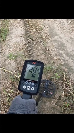 Hidden Treasure Metal Detector