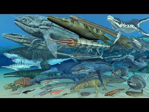 Extinct Marine Animals Size Comparison in 3D Animation | Realistic World Data