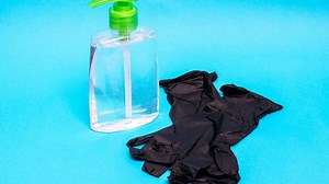 Is Dawn Dish Soap Safe for My Plants: Guide with Effects