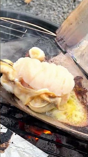 【炭火】巨大貝（平貝）のバター醤油焼きがうまい