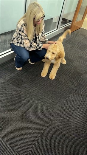 HR update: London is raising some formal objections to the AI robot dog in the office.