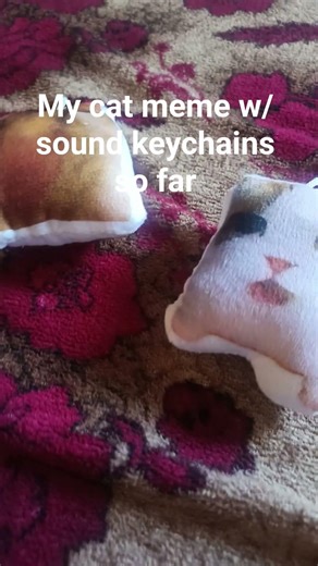 my cat meme keychains to flex on the boys