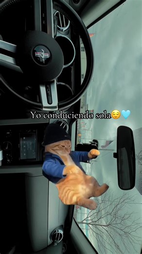 #Meme #MemeCut #paratiiiiiiiiiiiiiiiiiiiiiiiiiiiiiii | me as soon as i start driving