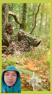 3.2M views · 10K reactions | #reactionvideos #reaction #wildlifephotographer #wildlifeplanet #reelsvideo #everyone #fbreels DISCLAIMER: I hereby declare that i do not own the right to this video.All rights belong to the owner .No Copyrights Infringement Intended✔️ This video is purely for entertainment purposes only✔️ Sec.107 of copyright Act.1979 allow these materials for fair use.✔️ | Rey Aboabo Dela Peña | Facebook