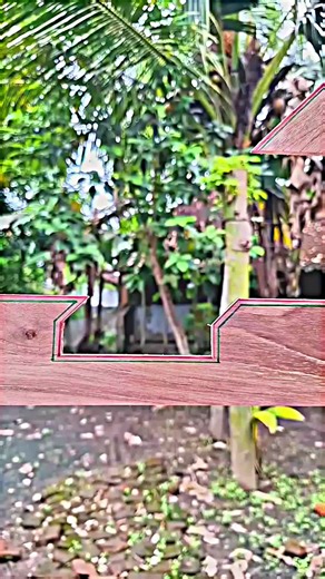 carpenter 🪚 tool 🔫 (@carpentertool)’s videos with original sound - carpenter 🪚 tool 🔫