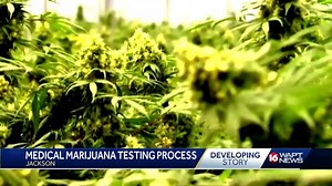 Cannabis Testing Lab Jackson