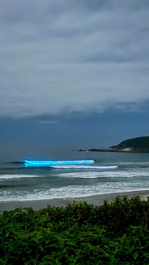 Pousada Fazenda do Rosa Oficial | Praia do Rosa on Instagram: "Essas pequenas criaturas marinhas iluminam a noite em um espetáculo de luz incrível. 🌌✨ Na Fazenda do Rosa, você pode contemplar esse fenômeno mágico diretamente da sua cabana. Imagine a tranquilidade de uma noite à beira-mar, com a água brilhando sob o céu estrelado, criando memórias que durarão para sempre. Venha viver essa experiência única e inesquecível. Quer saber mais? Entre em contato e reserve sua cabana! 🌊 #fazendadorosa