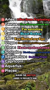 46K views · 268 reactions | What zodiac sign really mean when they say I’m fine #zodiac #zodiacsigns #capricorn #aquarius #libra | Zodiac Magic | Facebook