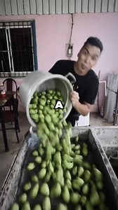 87K views · 3.8K reactions | Mangos (Tiktok Version) ️| Original vs FUNK ️ #Mangos (Tiktok Version) #phonkmusic #music_phonk #slowedandreverb #lyricsvideo #trend #bassboosted #headphones #originalvsfunk #slowedsongs #funk .MOV | Push Music Songs | Facebook