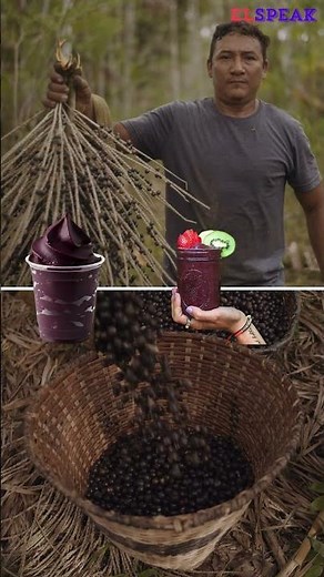 Why Açaí Costs $15 in Cafes but is Free in the Jungle! #elspeak #facts #esl #english #fruit #acaì