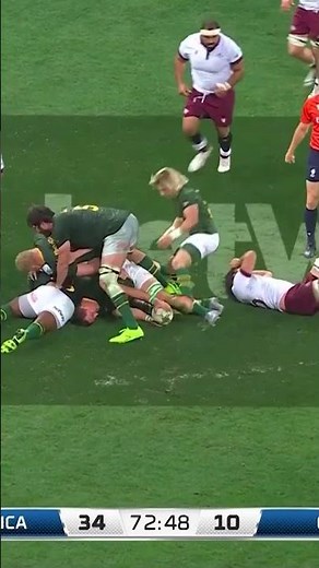The Story of Van Der MERWE! Springboks vs Georgia #springboks