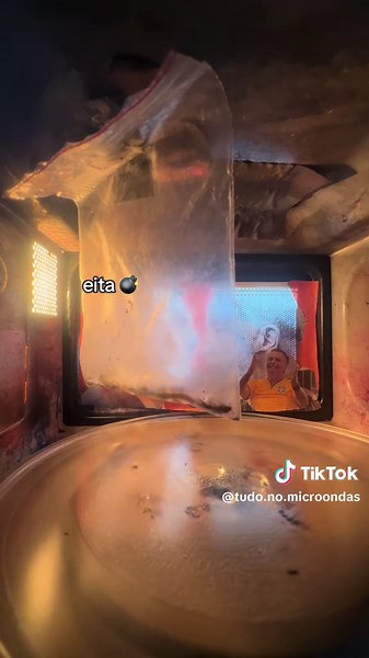 Insetos no Microondas: Experimentos Científicos Inusitados