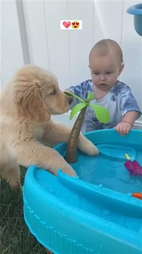 Love animals beyond words. #animalshorts