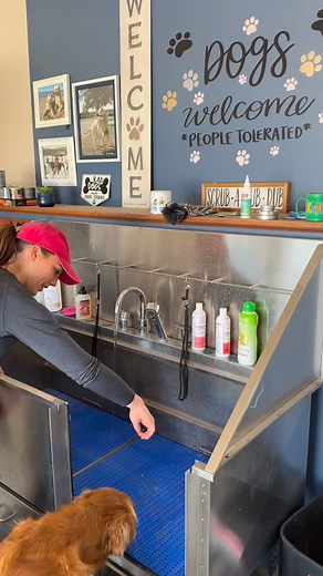 is it obvious where her fav spot to be scratched is? 🤪 @wondercide Flea & Tick Shampoo (storewide code: TATE15 🔗 in bio!) | Tate & Ellie