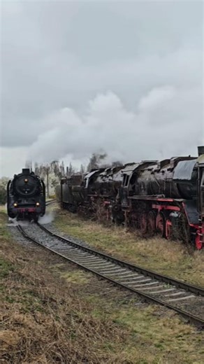 50 3501 erging es besser als ihren on Staßfurt abgestellten Schwestern