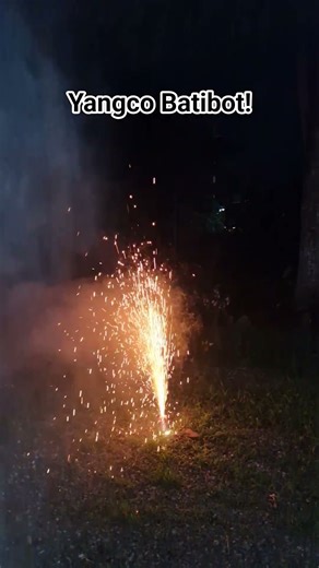 Batibot Fountain! #diwali #fireworks #feuerwerk #diwalispecial