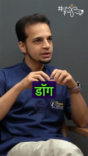 Stray Dogs and Grooming #shortvideo