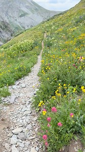 Wildflower fields and high alpine trails 🌸🪻🌻 #tellurideskiresort #discovertelluride | Telluride Ski Resort