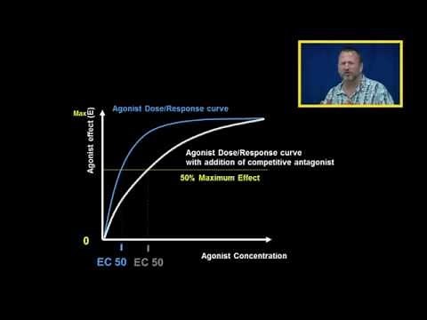 Agonist DR Curves with Competitive and Noncompetitive Antagonist