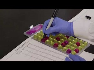 Colisure: User's Guide