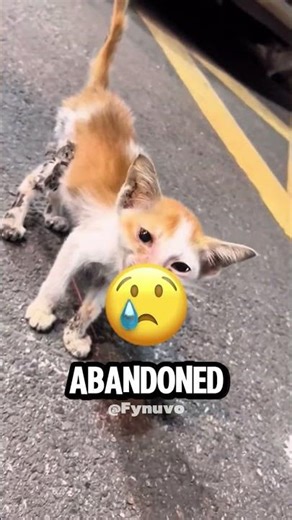 This Guy Cheated the Claw Machine With Thomas 🚂😳