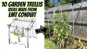 10 Trellis Ideas That Anyone Can Make Real