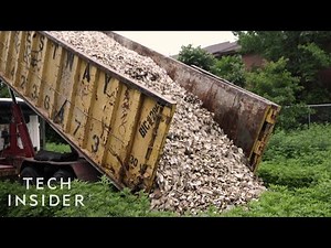 How One Group Is Restoring Thousands Of Oysters To The New York Harbor