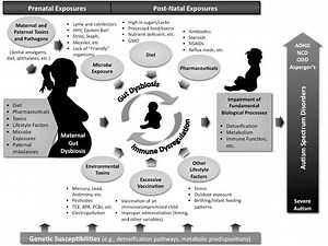 Etiology of Autism