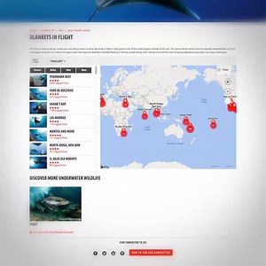 5.8K views · 95 reactions | Take a guess how long the largest manta ray ever recorded is. Lock your answer in the comments before watching the video! For information on where you might see them, use: www.divessi.com/mydiveguide #weareSSI | SSI | Facebook