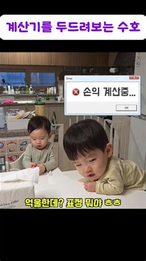 선빵(?) 후 화해 요청.. 22개월 지호의 지능적 플레이와 억울한 수호 😂 Sweet but Sneaky? Jiho's apology game 🥊🤝