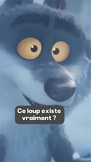 Le loup d'intermarché existe vraiment ? 😱 #loup #intermarché #animal #animaux #nature #france