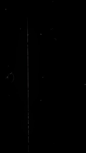 Wammy House Boys in Death Note Anime