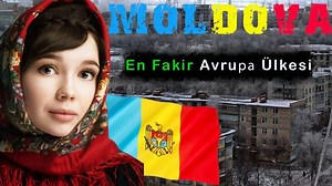 Подборки видео для вас — поиск Яндекса по видео