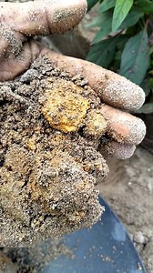 7.8K views · 133 reactions | Asmr Panning for gold ️ | Gold Panner Nanda | Facebook