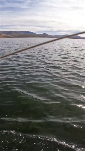 Explore Fly Fishing Techniques and Tips