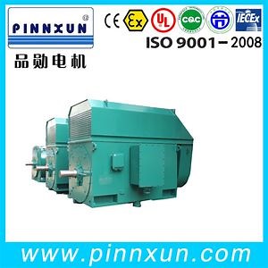 [Hot Item] 10kv Electrical Motor 5000HP Electric Motor