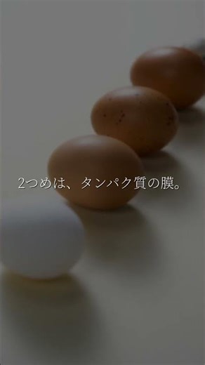 すき焼きの生卵、本当の理由は贅沢への憧れだった