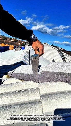 Professional Roof Ridge Sealing.