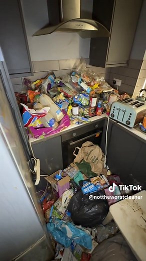 Amazing Home Transformation: Cleaning Before and Afters