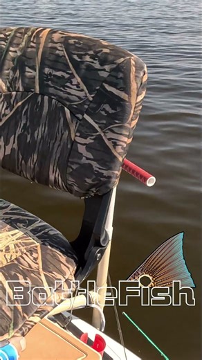 Tarpon Roll St Johns River