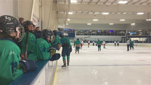 Kalamazoo's Wings West closing after ice plant suffers 'severe failure'