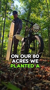 Secret to GROWING and HOLDING deer on your property 🌳 (Deer can't resist these)