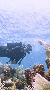 5.6K views · 1.5K reactions | Introducing the NEW Scubapro Navigator...