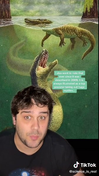 The Titanoboa: Largest Snake in History