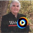 Where The Timbers Cross by Walt Mills