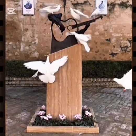 43K views · 653 reactions | Marchena no es solo un lugar en el mapa....