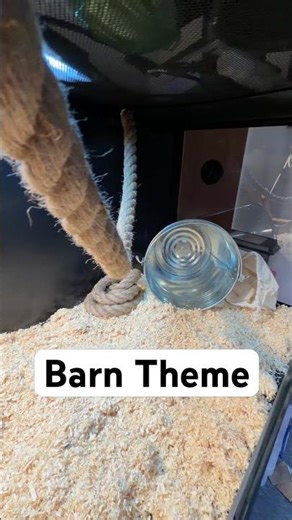 Barn Theme Snake Setup