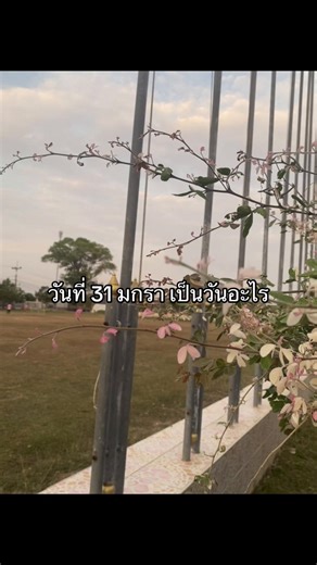 วิดีโอของ ไม่รู้🤨💗 (@ppp_pp.013) พร้อมเพลง เสียงต้นฉบับ - กะลงแปลว่าลูกคนโตอ่ะ🥸👀 - Ig:surinxx_179
