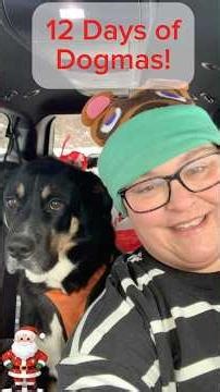 12 Days of Dogmas-Day 6 #adventcalendar #doglife #dogmas #holiday #12daysofchristmas #maine